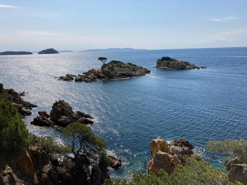 Atelierchic Bed & Breakfast Le Lavandou Exterior photo
